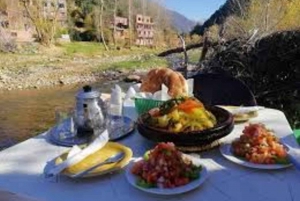 Marrakech: Atlas Mountains, Ourika Valley, Waterfall & Lunch