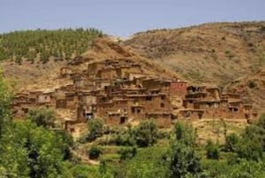 Marrakech: Atlas Mountains, Ourika Valley, Waterfall & Lunch