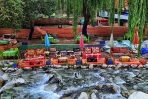 Marrakech: Atlas Mountains, Ourika Valley, Waterfall & Lunch