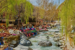 Marrakech: päiväkierros Ourikan laaksoon ja Atlasvuorille