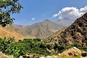 Marrakesch: Halbtägiger Ausflug ins Ourika-Tal und ins Atlasgebirge