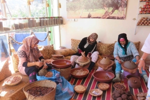 Marrakesch: Halbtägiger Ausflug ins Ourika-Tal und ins Atlasgebirge
