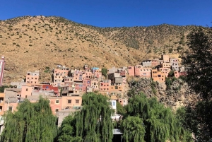 Marrakesch: Halbtägiger Ausflug ins Ourika-Tal und ins Atlasgebirge