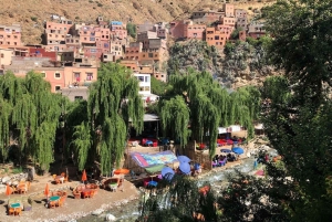 Marrakesch: Halbtägiger Ausflug ins Ourika-Tal und ins Atlasgebirge