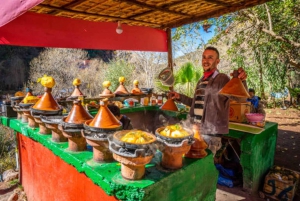 Marrakech: Ourika Valley & Atlas Mountains Tour with Lunch