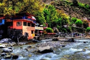 Marrakech: Ourika Valley & Atlas Mountains Tour with Lunch