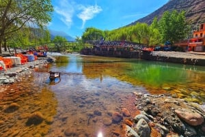 Marrakech: Ourika Valley & Atlas Mountains Tour with Lunch