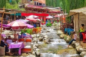 Marrakech: Ourika Valley & Atlas Mountains Tour with Lunch