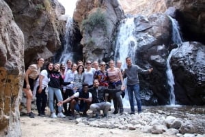 Vanuit Marrakech: Ourika vallei, Atlas gebergte,Dagtrip