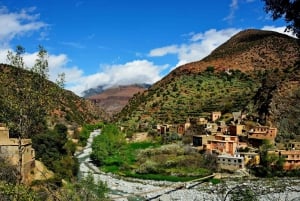Fra Marrakesh: Ourika-dalen, Atlasfjellene, dagstur