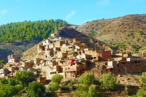 Marrakeshista: Ourikan laakso, Atlas-vuoristo, päiväretki