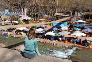 Z Marrakeszu: Dolina Ourika, Góry Atlas,1-dniowa wycieczka