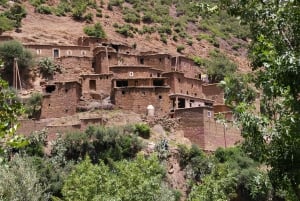 From Marrakesh: Ourika Valley, Atlas Mountains,Day Trip
