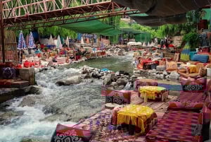 Marrakech: Valle de Ourika, montañas del Atlas, cascada y guía
