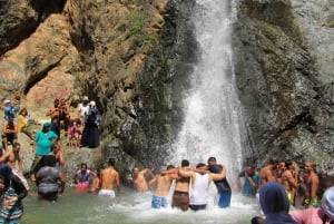 Marrakech: Valle de Ourika, montañas del Atlas, cascada y guía