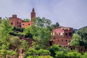 Marrakech: Valle de Ourika, montañas del Atlas, cascada y guía