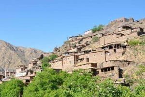 Marrakech: Valle de Ourika, montañas del Atlas, cascada y guía