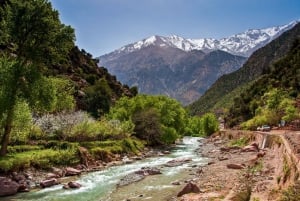 Marrakech: Valle de Ourika, montañas del Atlas, cascada y guía