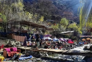 Marrakech: Valle de Ourika, montañas del Atlas, cascada y guía