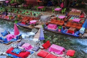 Marrakech: Valle de Ourika, montañas del Atlas, cascada y guía