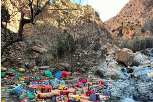 Marrakech: Valle dell'Ourika, Montagne dell'Atlante, Cascate e guida