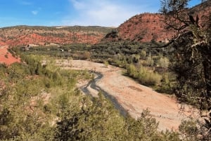 Marrakech: Valle dell'Ourika, Montagne dell'Atlante, Cascate e guida