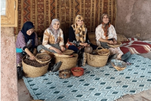 Marrakech: Valle dell'Ourika, Montagne dell'Atlante, Cascate e guida