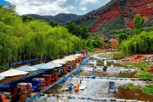 Marrakech: ourika valley Atlas Mountains & Waterfalls Trip