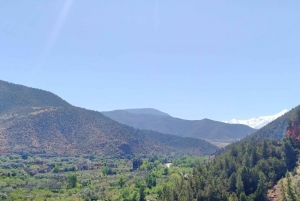 Excursion Ourika Valley ,Berber villages ,Atlas Mountains