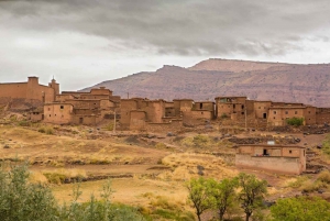 Fra Marrakech: Dagstur til Ourika-dalen og berberlandsbyer
