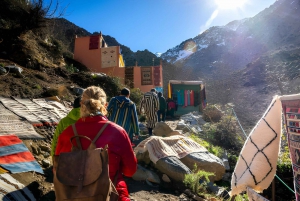 De Marrakech: Vale de Ourika e aldeias berberes: viagem de 1 dia
