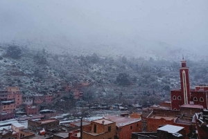 Marrakech : excursion d'une journée dans la vallée de l'Ourika avec un guide de la région vers les cascades