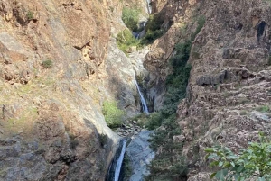 Marrakech : excursion d'une journée dans la vallée de l'Ourika avec un guide de la région vers les cascades