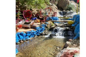 Marrakech : excursion d'une journée dans la vallée de l'Ourika avec un guide de la région vers les cascades