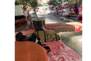 Marrakech : excursion d'une journée dans la vallée de l'Ourika avec un guide de la région vers les cascades