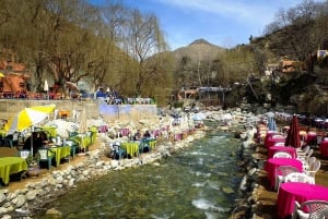 Marrakech: Ourika Valley and Atlas Mountains, Waterfall Hike