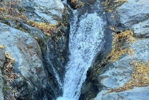 Marrakech: Ourika Vallei Dagtocht & Watervallen Wandeling & Lunch