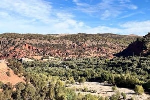 Marrakech: Ourika Vallei Dagtocht & Watervallen Wandeling & Lunch