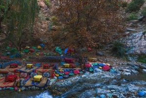 Marrakech: Ourika Vallei Dagtocht & Watervallen Wandeling & Lunch