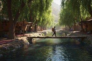 Marrakech: Ourika Vallei Dagtocht & Watervallen Wandeling & Lunch