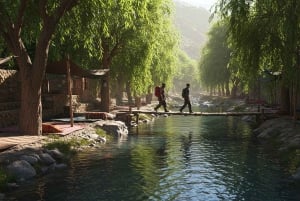 Marrakech: Ourika Vallei Dagtocht & Watervallen Wandeling & Lunch