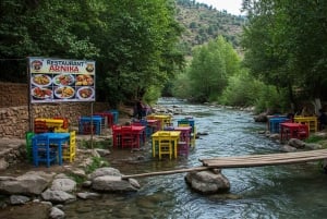 Marrakech: Ourika Vallei Dagtocht & Watervallen Wandeling & Lunch