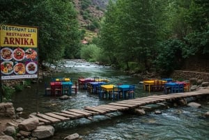 Marrakech: Ourika Vallei Dagtocht & Watervallen Wandeling & Lunch