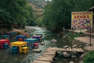 Marrakech: Ourika Vallei Dagtocht & Watervallen Wandeling & Lunch