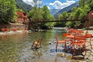 Marrakech: Ourika Vallei Dagtocht & Watervallen Wandeling & Lunch