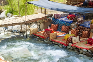 Marrakesz: Wycieczka 1-dniowa do doliny Ourika z wodospadami i obiadem