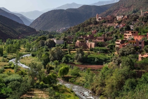Marrakesz: Wycieczka 1-dniowa do doliny Ourika z wodospadami i obiadem