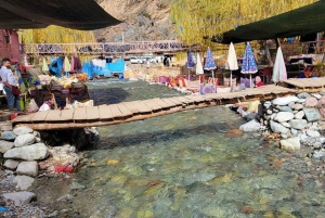 Marrakesz: Wycieczka 1-dniowa do doliny Ourika z wodospadami i obiadem