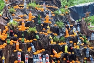 Marrakech: Ourika Vallei Dagtocht & Watervallen Wandeling & Lunch