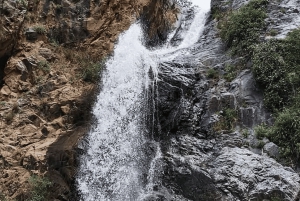 Marrakech: Ourika Vallei Dagtocht & Watervallen Wandeling & Lunch
